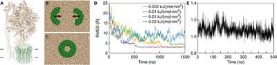 Assembly of Spinach Chloroplast ATP Synthase Rotor Ring Protein-Lipid Complex